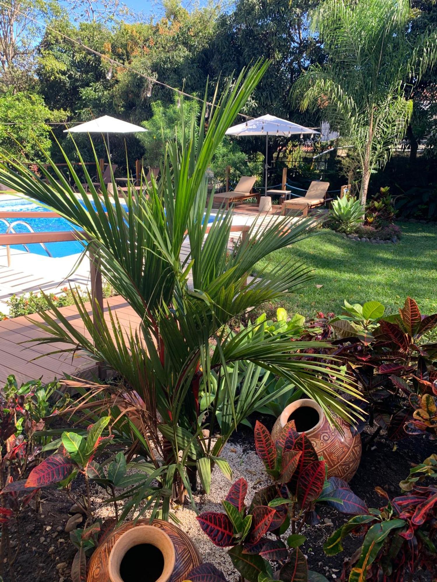 Aranjuez Lofts Santa Ana Apartment Santa Ana  Luaran gambar